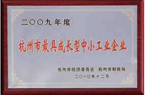 杭州市最具成長型中小工業企業