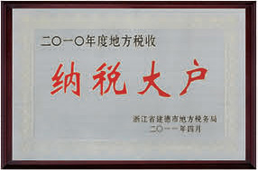 2010年度地方稅收納稅大戶